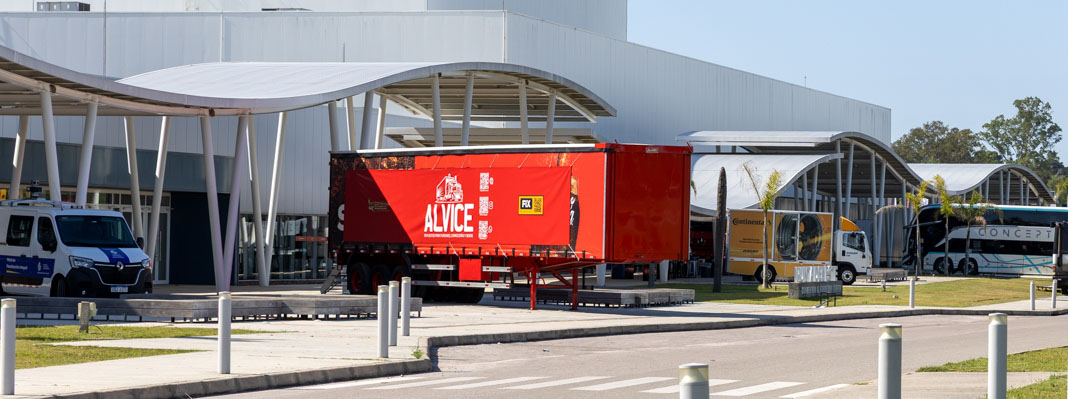 alvice_3.jpg