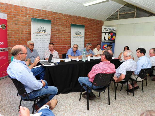 Exportaciones de ganado en pie alcanzan récord histórico este año en Uruguay