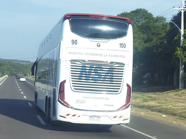 MAYO53