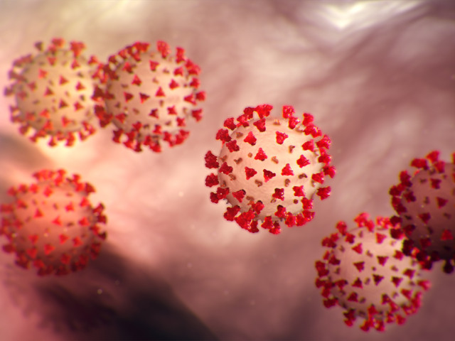 coronavirus-transporte