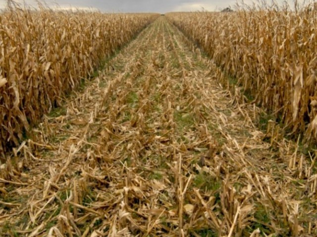 Ministro Enzo Benech: La agricultura presenta excelentes resultados a comienzos de este año en comparación con 2018 Ministro Enzo Benech: La agricultura presenta excelentes resultados a comienzos de este año en comparación con 2018